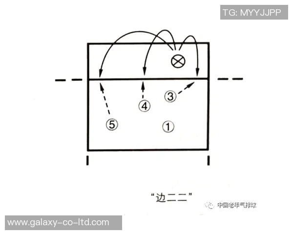 成都排球队进攻策略全解析深度剖析排球战术与团队协作